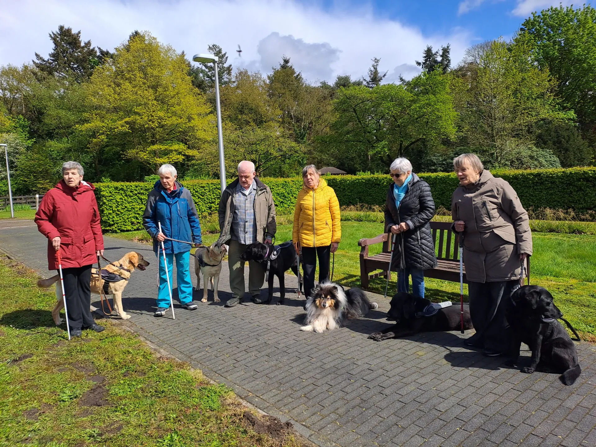 Internationale Dag van de Geleidehond | Het Schild