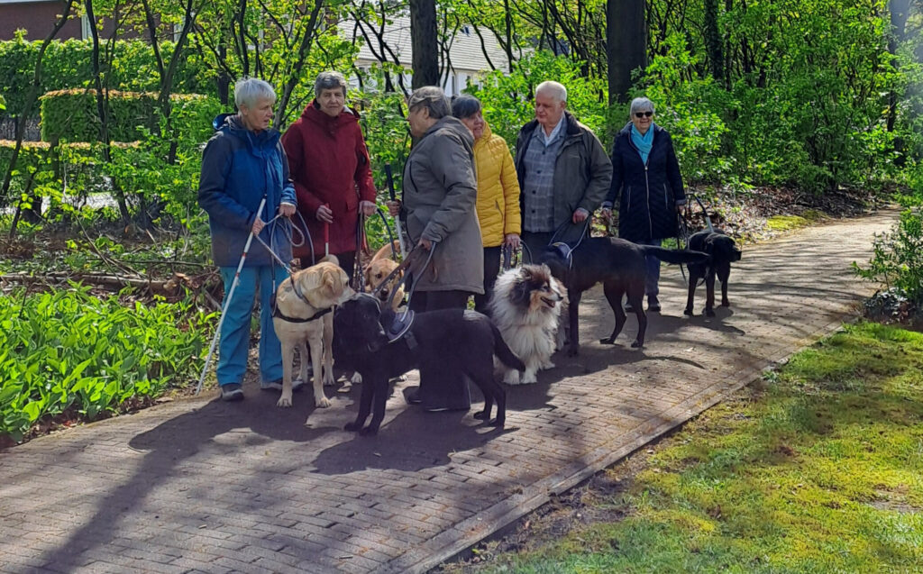 Internationale Dag van de Geleidehond