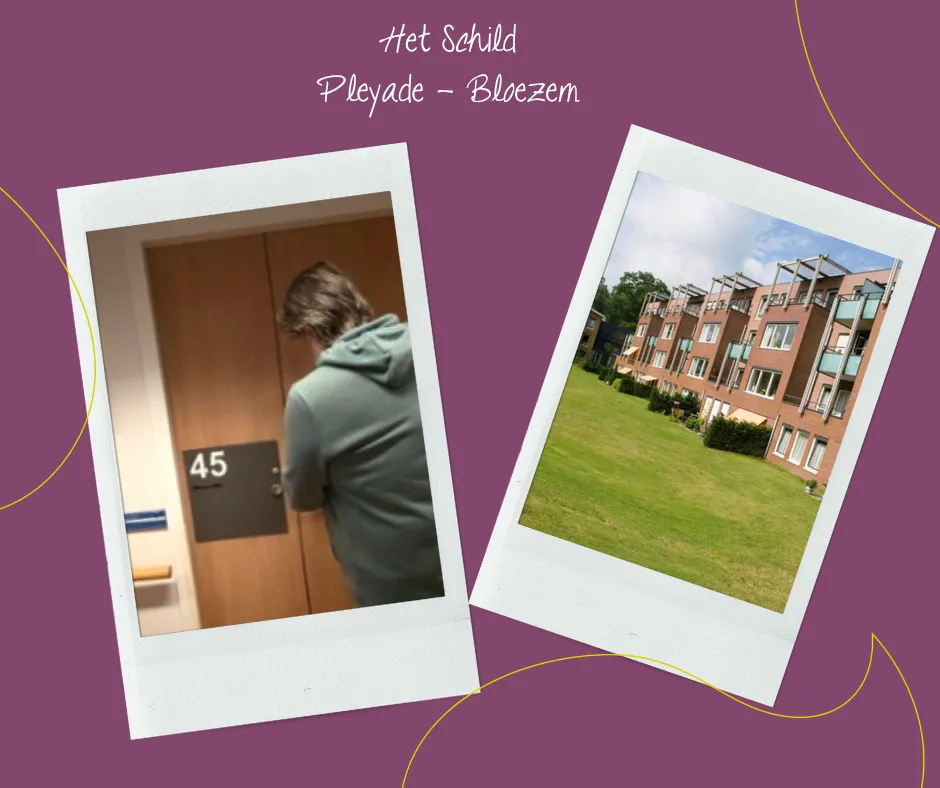 Samenwerking met Pleyade en Bloezem